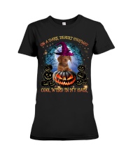 Dachshund-03-CS2692-On A Dark Desert Premium Fit Ladies Tee tile