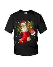 Labrador-CS3658-Mery Christmas-V3 Youth T-Shirt tile