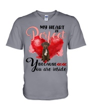 Lagotto Romagnolo-CS4148-Perfect-V2 V-Neck T-Shirt tile