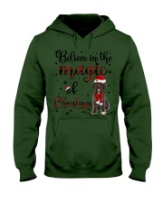 Schnoodle-CS3884-In The Magic-V2 Hooded Sweatshirt tile