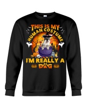 Schnauzer-CS3531-Human Costume Crewneck Sweatshirt tile