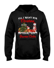 Bearded Collie-CS3943-Christmas-V9 Hooded Sweatshirt tile