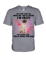 English Mastiff-DN2158-You Meet Me V-Neck T-Shirt tile