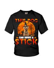 Poodle -DN2074-Drive A Stick Youth T-Shirt tile