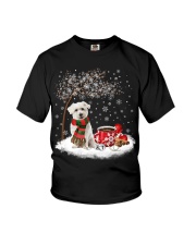 Coton De Tulear-CS3916-Christmas Dog-V13 Youth T-Shirt tile