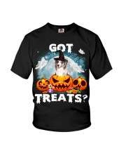 Blue Merle Collie -CS3383-Got Treats Youth T-Shirt tile