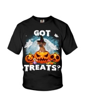 Rhodesian Ridgeback -CS3383-Got Treats Youth T-Shirt tile