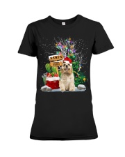 Cocker Spaniel -CS3743-Santa Stop Here Premium Fit Ladies Tee tile
