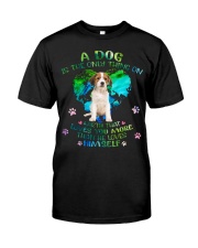 Kooikerhondje-DN1906-Loves You More Classic T-Shirt front
