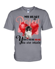 Pekingese-CS4148-Perfect-V2 V-Neck T-Shirt tile