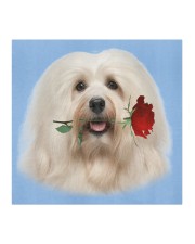 Havanese Rose FM Cloth face mask aos-face-mask-coverlet-lifestyle-front-02