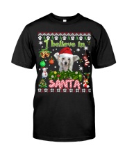 Chinese Crested-DN2343-Believe In Santa Premium Fit Mens Tee tile