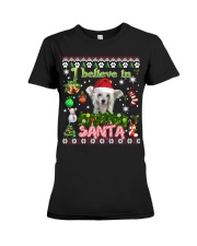 Chinese Crested-DN2343-Believe In Santa Premium Fit Ladies Tee tile