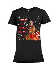 Bloodhound-CS3646-The Dog-V2 Premium Fit Ladies Tee tile