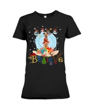 Irish Terrier-CS4082-Believe-V2 Premium Fit Ladies Tee tile