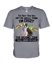 Boston Terrier-CS3081-The Second Time V-Neck T-Shirt tile