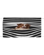Border Collie Stripes FM Cloth face mask front