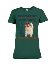 Lagotto Romagnolo-CS3050-The Littlest Premium Fit Ladies Tee tile