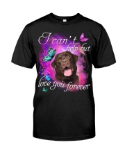 Labrador-Chocolate-NT769 Premium Fit Mens Tee tile