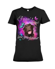 Labrador-Chocolate-NT769 Premium Fit Ladies Tee tile
