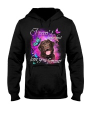 Labrador-Chocolate-NT769 Hooded Sweatshirt tile
