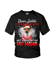 Rat Terrier-CS4035-My MaMa Youth T-Shirt tile