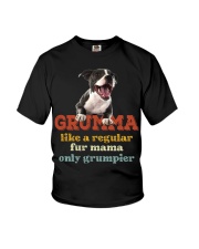 Staffordshire Bull Terrier-CS3128-Like A Regular Youth T-Shirt tile