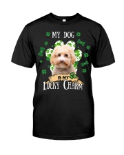 Maltipoo-CS4146-My Dog-V2 Classic T-Shirt front