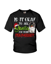 Pekingese-DN2347-Is It Okay Youth T-Shirt tile