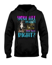 Bernese Mountain-CS3710-You All Realize Hooded Sweatshirt tile
