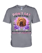 Briard-CS4086-Don't Say-V2 V-Neck T-Shirt tile