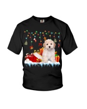 Maltipoo-DN2361-Christmas-V2 Youth T-Shirt tile