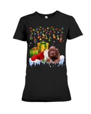 Irish Setter-CS3988-Christmas Gifts Premium Fit Ladies Tee tile