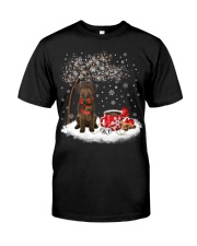 Lagotto Romagnolo-CS3916-Christmas Dog-V13 Classic T-Shirt front