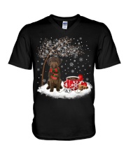 Lagotto Romagnolo-CS3916-Christmas Dog-V13 V-Neck T-Shirt tile