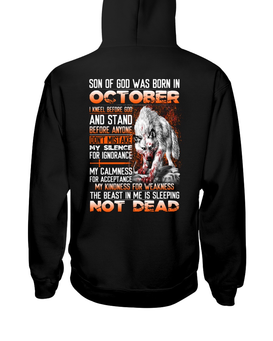 SON OF GOD - US - 10 Hooded Sweatshirt