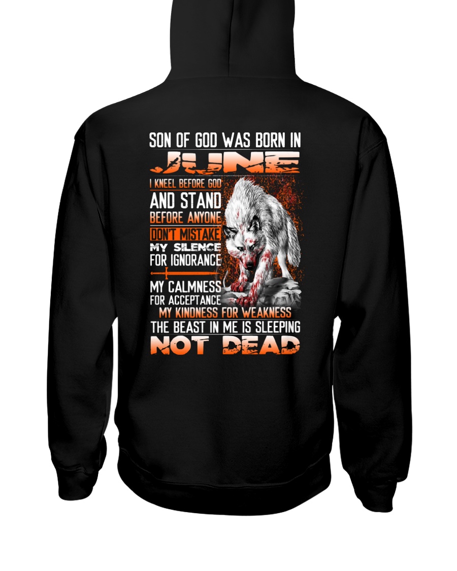 SON OF GOD - US - 6 Hooded Sweatshirt