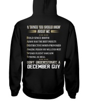 NEVER GUY-12 Hooded Sweatshirt back