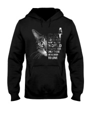 SHE HAS CHOSEN TO LOVE Hooded Sweatshirt thumbnail