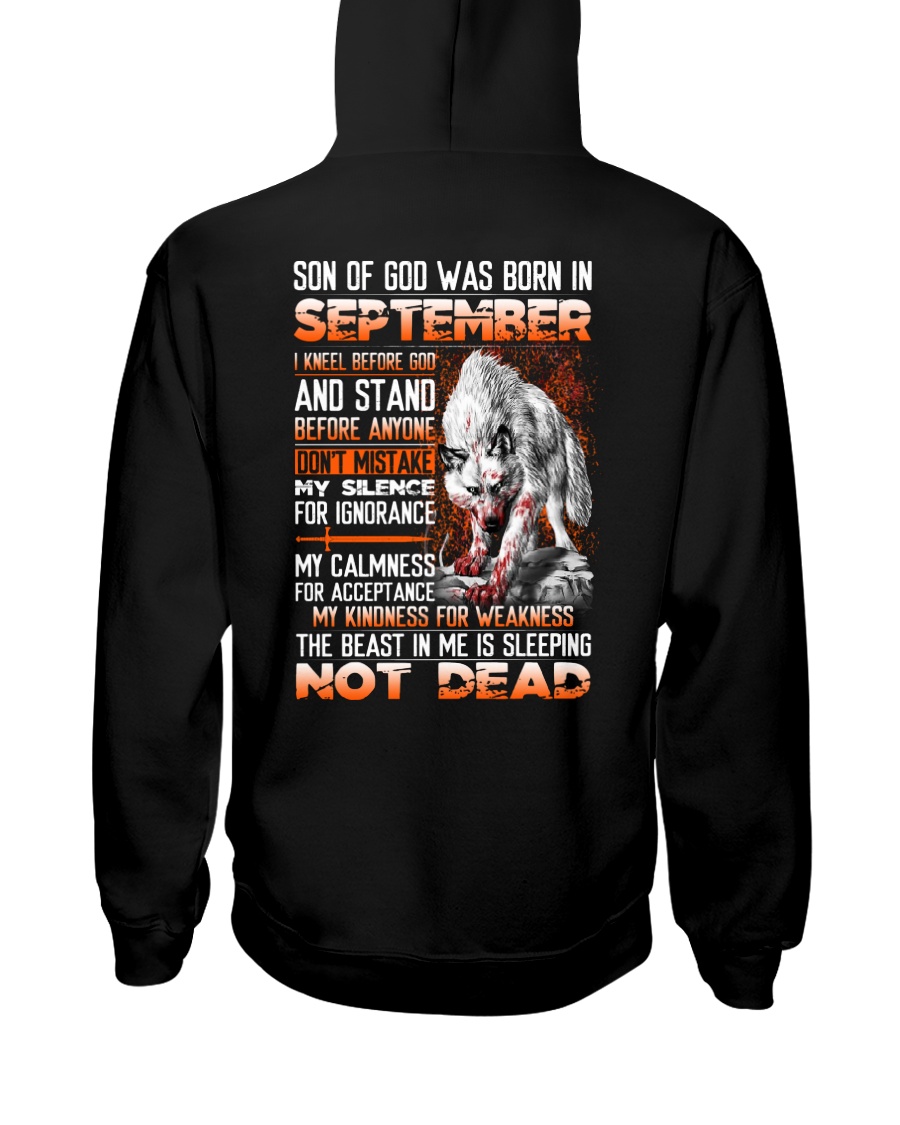 SON OF GOD - US - 9 Hooded Sweatshirt