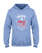 Still Not Having Kids Hooded Sweatshirt thumbnail