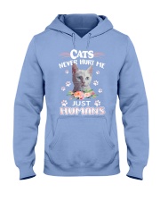CATS NEVER HURT ME Hooded Sweatshirt thumbnail
