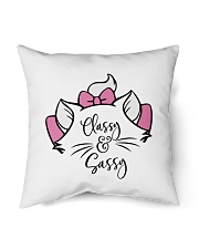 Classy and Sassy - Cat Indoor Pillow tile