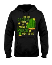 Cinco De Mayo 2018 Shirt Funny Cactus Mexican Gift Hooded Sweatshirt thumbnail