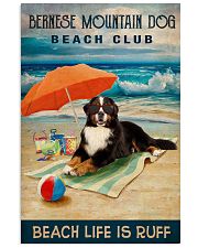 Bernese Mountain Dog 16x24 Poster front
