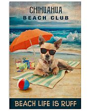 Chihuahua 16x24 Poster front