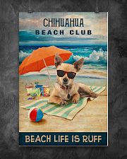 Chihuahua 16x24 Poster poster-portrait-16x24-lifestyle-10