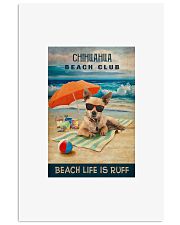 Chihuahua 16x24 Poster front