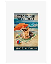 Yorkshire Terrier 16x24 Poster front