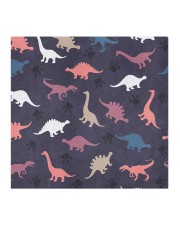 Dinosaur FM 11 HH Cloth face mask aos-face-mask-coverlet-lifestyle-front-02